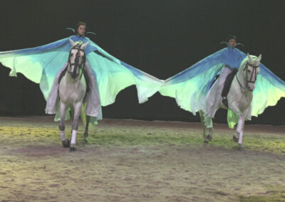 Réalisation de trois paires d'ailes en soie peinte pour cavaliers.