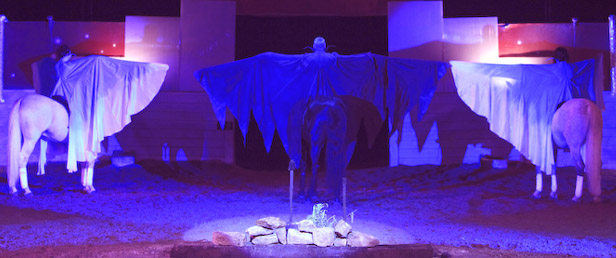 Réalisation de 3 paires d'ailes en soie pour cavaliers.