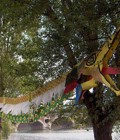 Création et réalisation d'une marionnette de 20 m en plastazote.