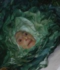 Réalisation de masque marionnette en papier peint.