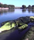 Réalisation d'un crocodile géant flottant en bois et bâche.